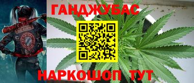 амф Заволжье