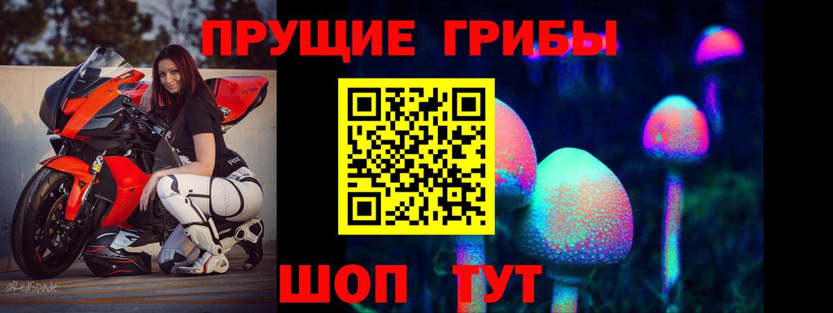 Галлюциногенные грибы Cubensis Балтийск